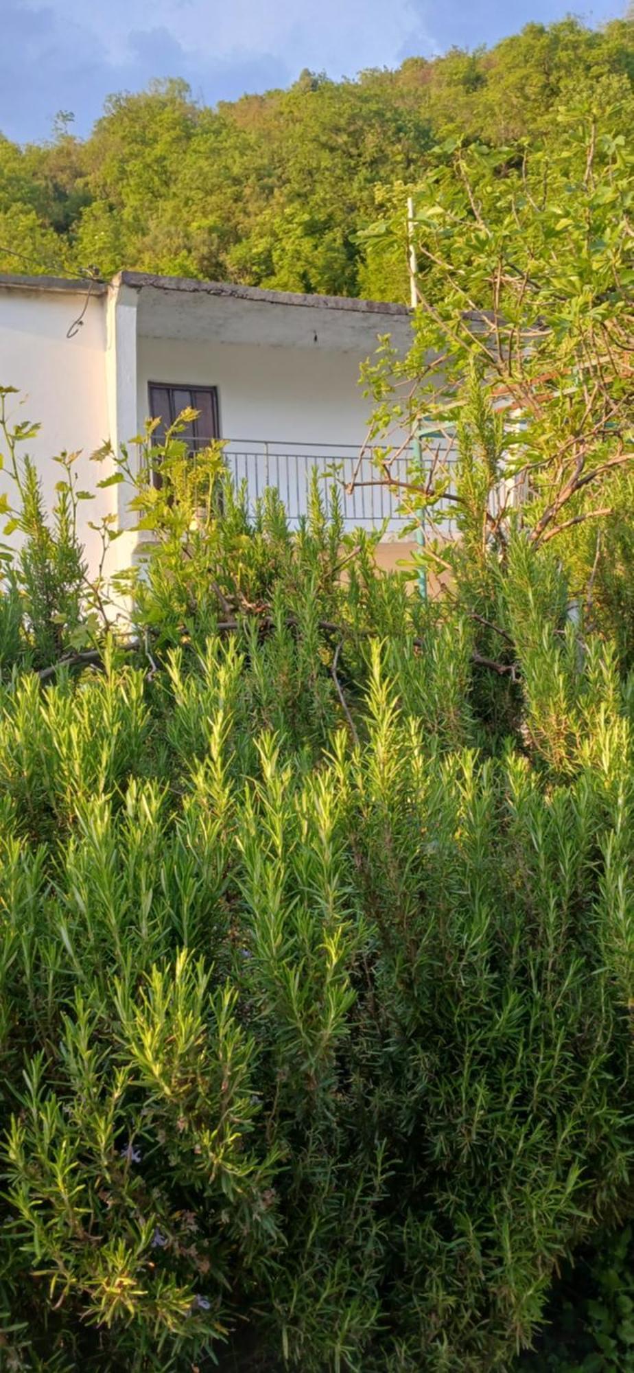 Villa Etno House Mira Virpazar Zimmer foto